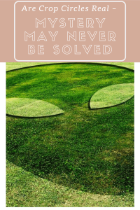 Crop Circles Crop Circles