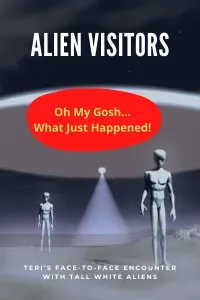 Alien Visitation Alien Visitation
