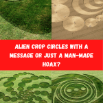 Alien Crop Circles Message Alien Crop Circles Message