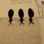 Williamson's impression of the three alien visitors