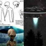 Alien Experiencers Alien Experiencers